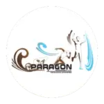 Paragon Healthcare